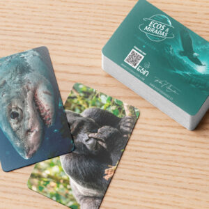 cartas de animales para coaching reflexión y inspiración