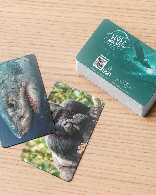 cartas de animales para coaching reflexión y inspiración