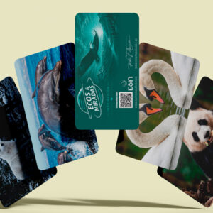 cartas de animales para coaching reflexión y inspiración