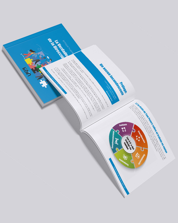 manual libro verdadera esencia direccion de equipos